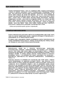 Analiza strategiczna Fabryki Kosmetyków Pollena 