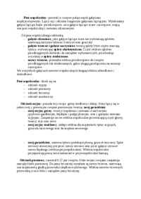 Autonomiczny układ nerwowy - część współczulna i przywspółczulna