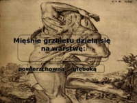 Mięśnie grzbietu-prezentacja