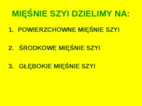 Mięśnie szyi 