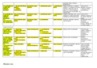 Mięśnie kończyny dolnej-anatomia