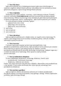 Nerwy czaszkowe-podział i budowa