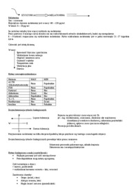 Rytmy biologiczne człowieka - Podział Halberga