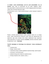 powieszchniowe-ruchy-masowe