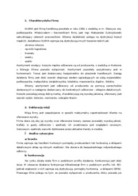 plan-marketingowy-firma-handlowa