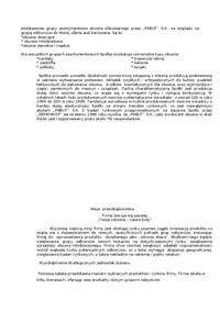 Strategia marketingowa firmy - produkcja obuwia