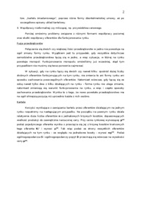 wspolpraca-miedzy-oferentami-2