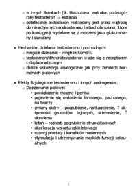 androgeny-jadra
