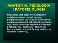 Choroby nadnerczy-prezentacja