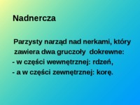 Pierwotna przewlekła niedoczynność kory nadnerczy