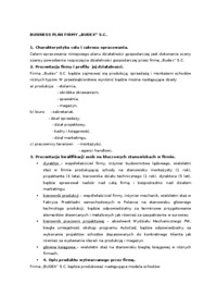 biznes-plan-budex-charakterystyka-dzialalnosci