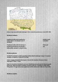 Populacja niedźwiedzia brunatnego w Karpatach