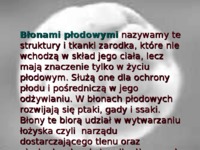 blony-plodowe-i-lozyska-zwierzat-ssacych-pecherzyk-zoltkowy