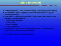 Układ rozrodczy żeński