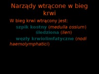 Narządy wtrącone w bieg krwi i hemocytopoeza