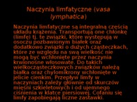 Układ limfatyczny