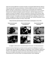 charakterystyka-swoistych-zwiazkow-prochnicznych