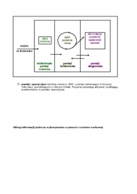 pamiec-podzial-wg-atkinsona-i-shiffrina