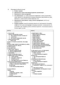 pasywa-omowienie-zagadnien