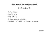 Układ w stanie równowagi chemicznej 