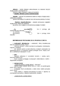 Zachowania prospołeczne