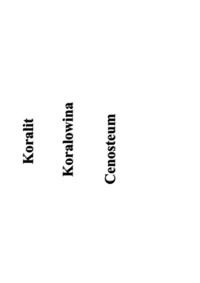 koralowce