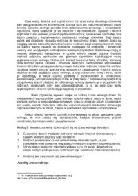 Świetlice terapeutyczne - opracowanie