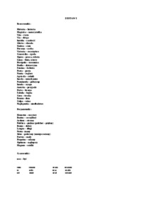 zestaw-slowek-z-laciny