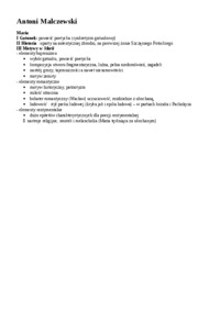 Antoni Malczewski 