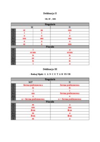 lacina-deklinacja-czasownikow