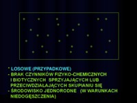 Populacja - fazy i liczebność