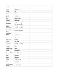 Słówka -sprzęt laboratoryjny