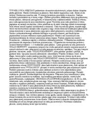 Mięczaki - charakterystyka zagadnienia