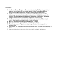 Interferencje  - rodzaje i omówienie