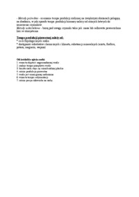 Produkcja pierwotna i dekompozycja