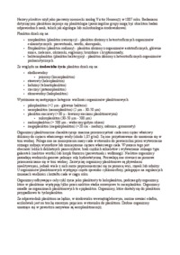 plankton-omowienie-zagadnienia