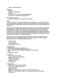 Rafy koralowe -  wykład 