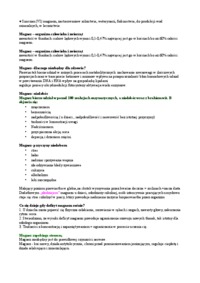 berylowce-omowienie-zagadnienia