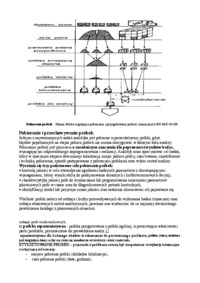 etapy-procesu-analitycznego-wejsciowka