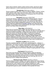 ekologia-obserwacja-ptakow