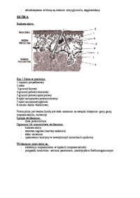 toksykologia-transport-aktywny