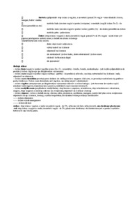 Stopy żelaza z węglem