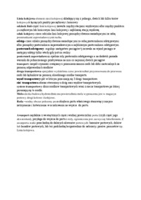 Transport kolejowy - pojęcie