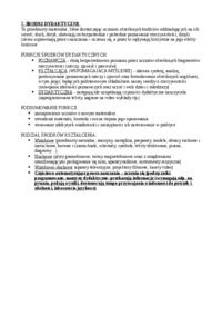 srodki-dydaktyczne-funkcje-i-podzial