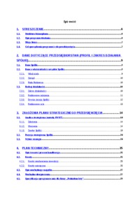 Biznesplan - Podniebne loty