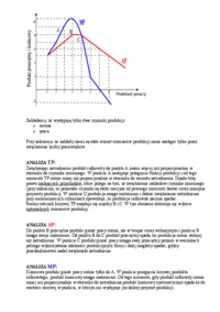 teoria-postepowania-producenta