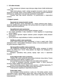 Pomiar sytuacyjno-wysokościowy