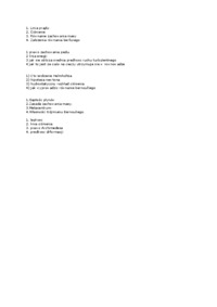 mechanika-plynow-egzamin-twierdzenie-helmholtza