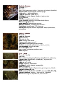 Podstawy nauk o Ziemi