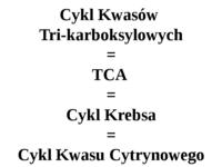 Cykl Krebsa